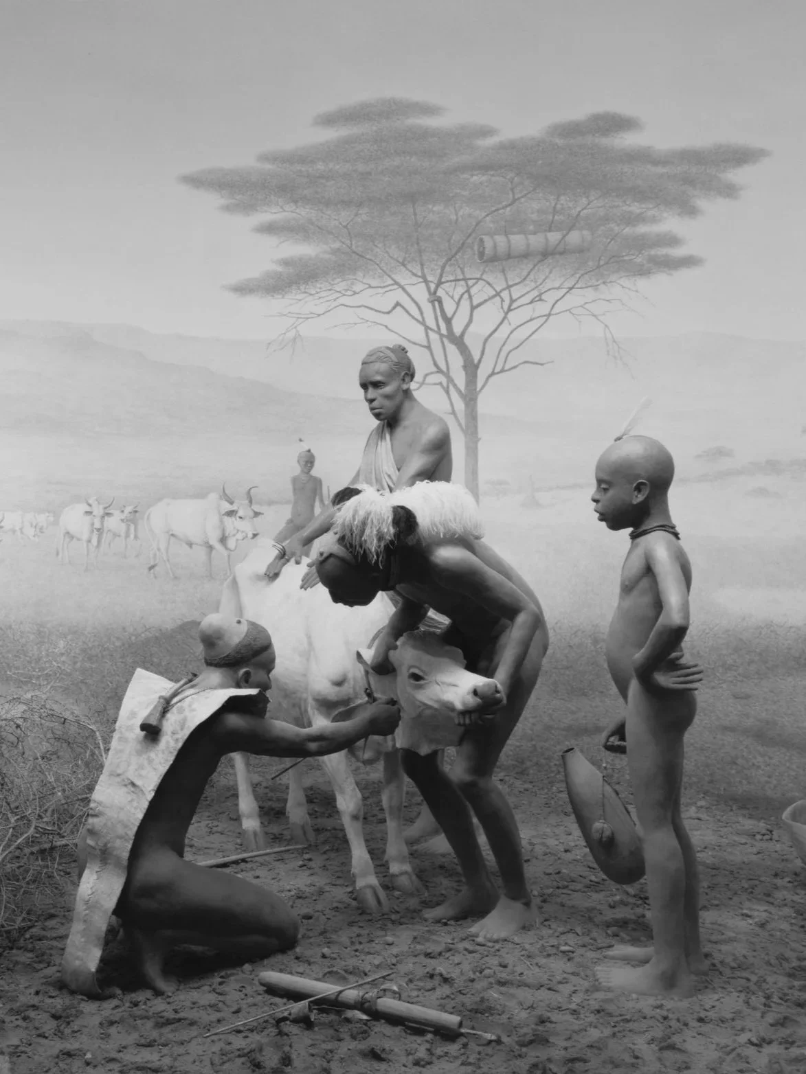 Hiroshi Sugimoto: Extinction | Tokyo National Museum of Modern Art